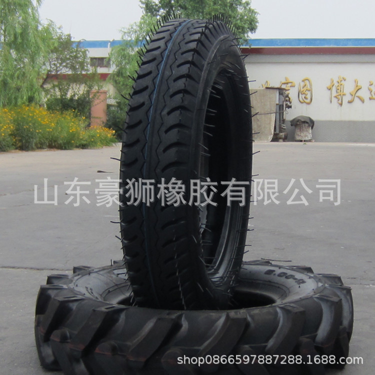 照片 203
