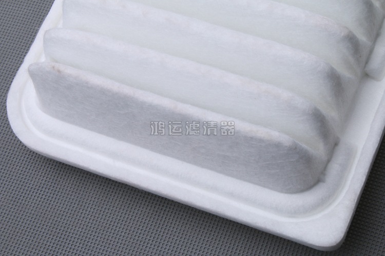 hylq02170