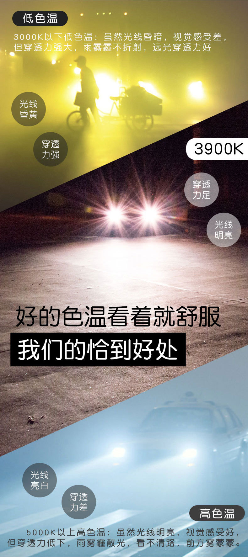 瑞莱特-10.jpg