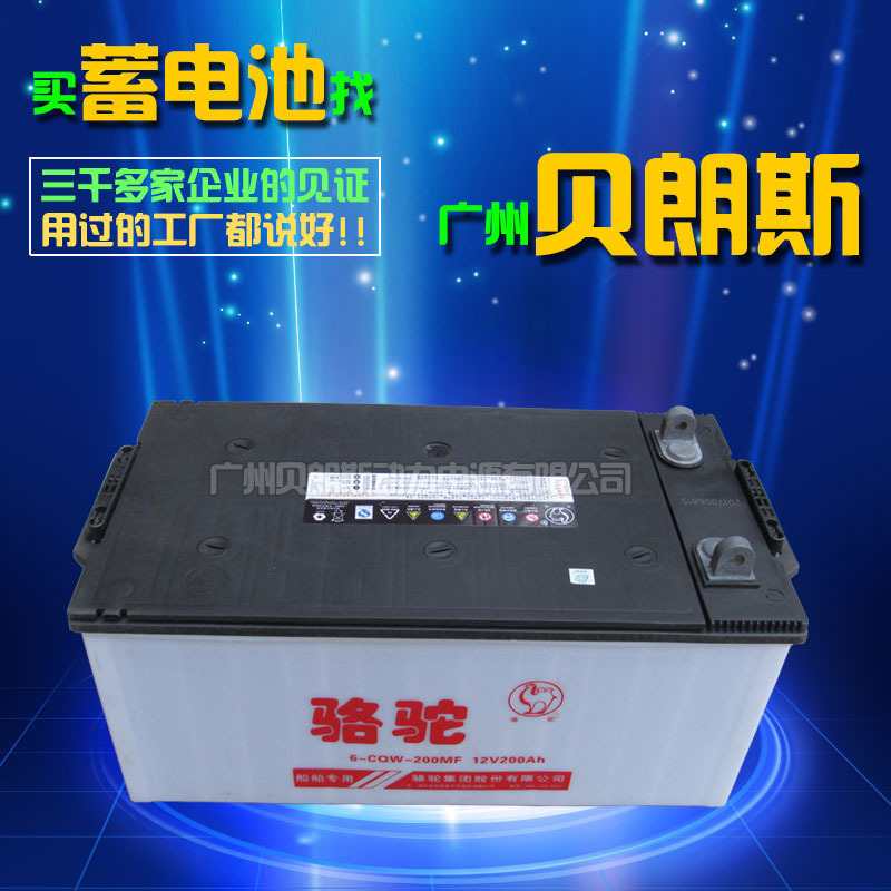 骆驼蓄电池6-CQW-200.jpg