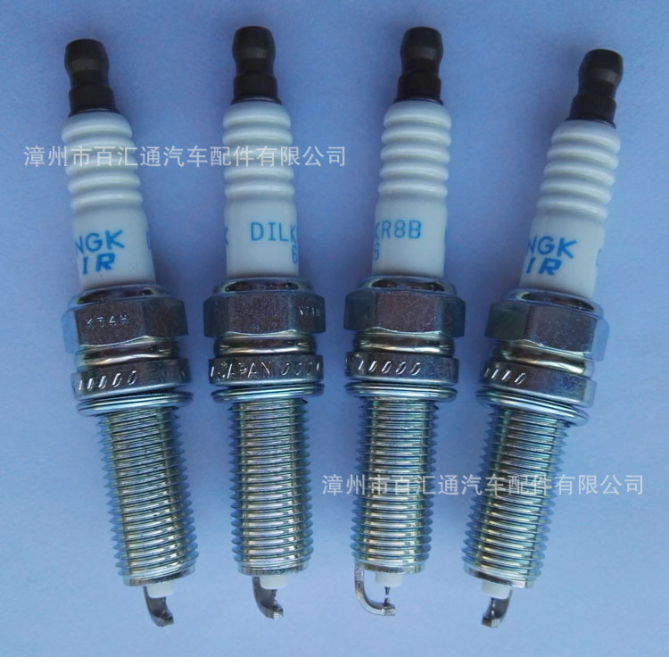 DILKR8B6 (3)