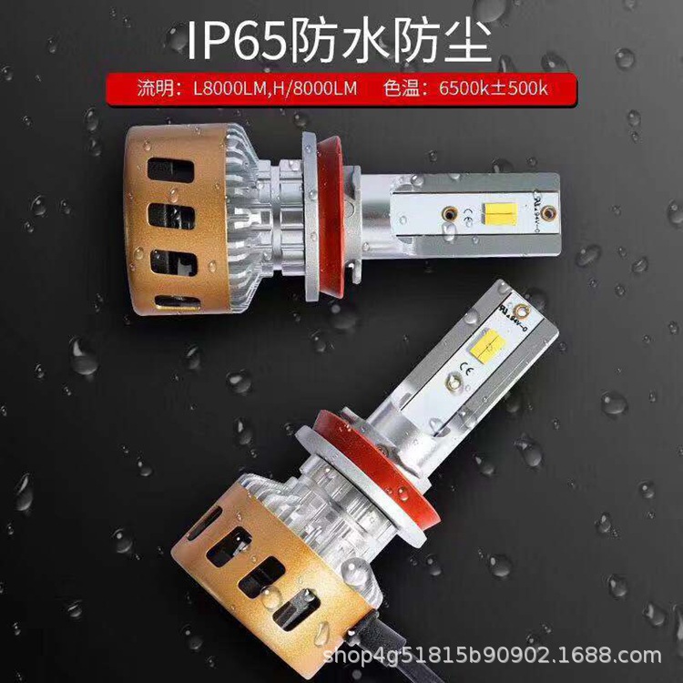 微信图片_20190911142433_副本